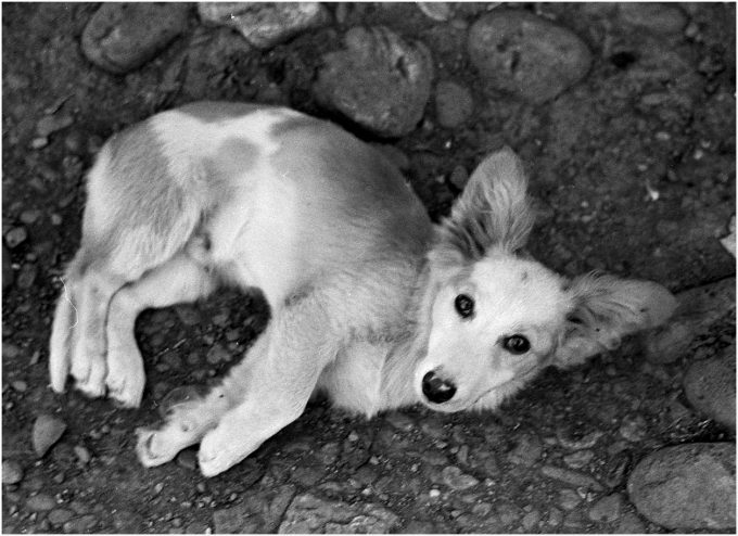 фотографии Зенит-3м