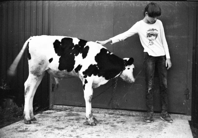 Smena F=40mm 1:4.5 1953, 35mm film photo camera